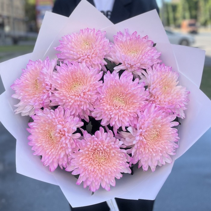 9 розовых хризантем Минка