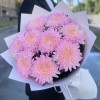 9 розовых хризантем Минка