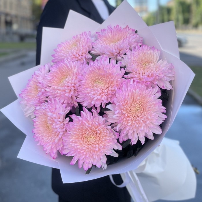 9 розовых хризантем Минка