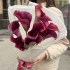 9 розовых калл