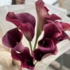 9 розовых калл