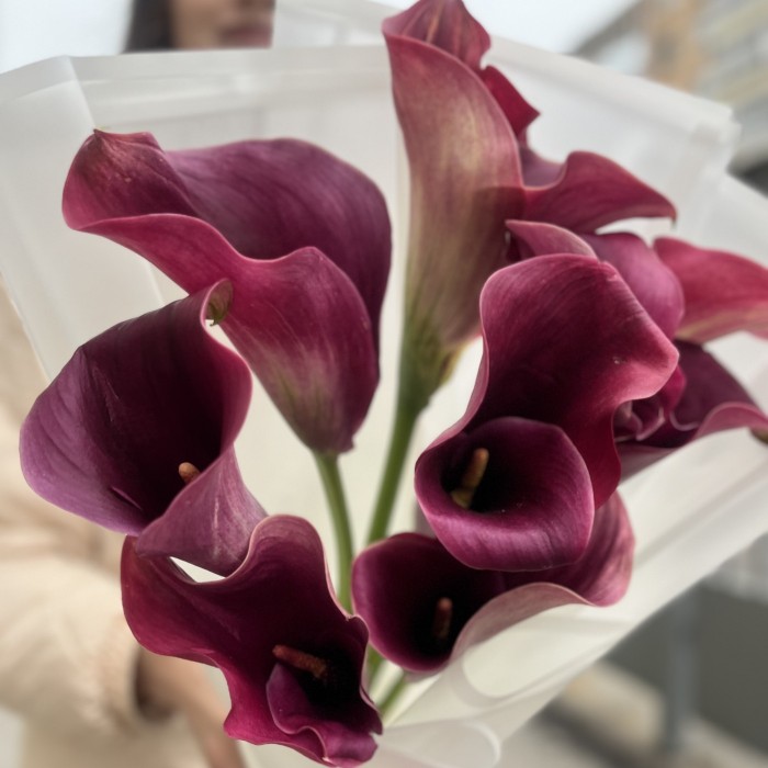 9 розовых калл