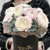 9 розовых ранункулюсов в коробке