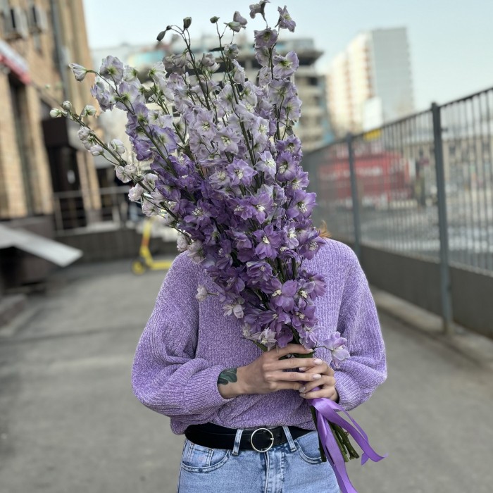 9 сиреневых дельфиниумов