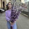 9 сиреневых дельфиниумов