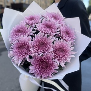 9 сиреневых хризантем