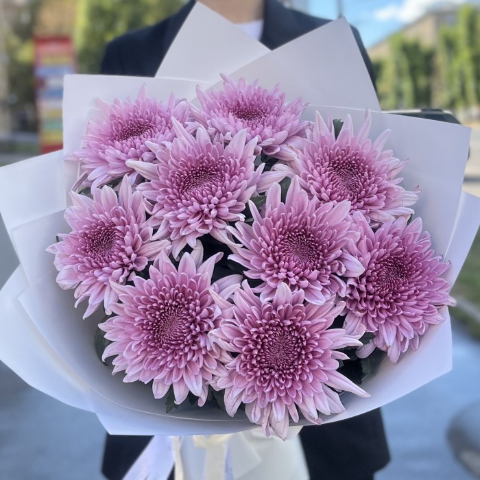 9 сиреневых хризантем