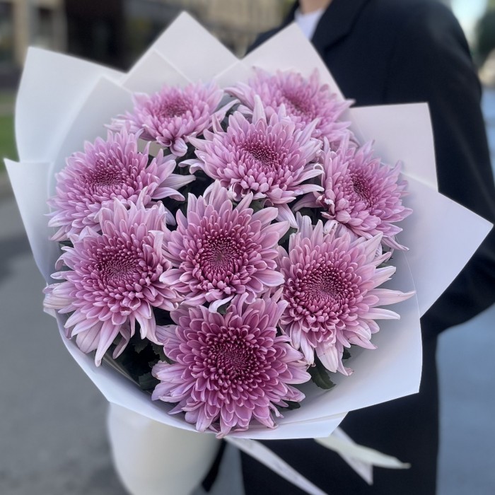 9 сиреневых хризантем