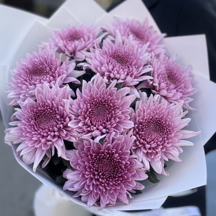9 сиреневых хризантем