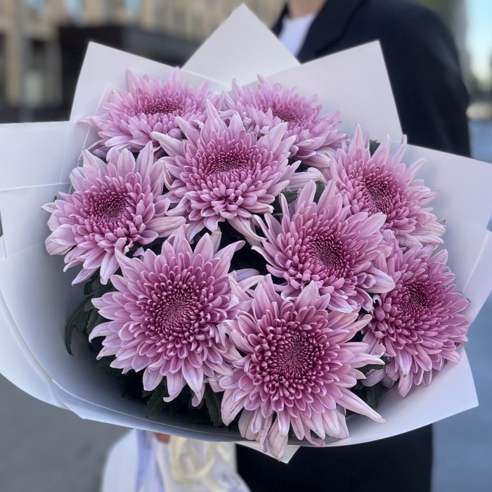 9 сиреневых хризантем