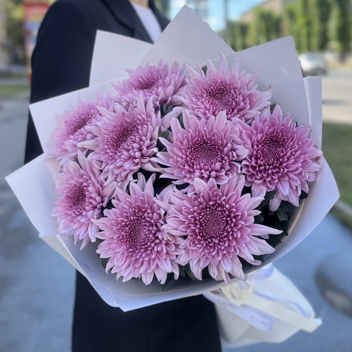 9 сиреневых хризантем