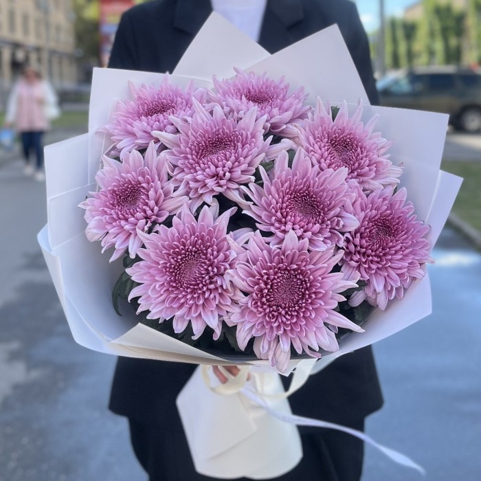 9 сиреневых хризантем