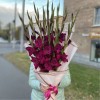 9 темно-малиновых гладиолусов