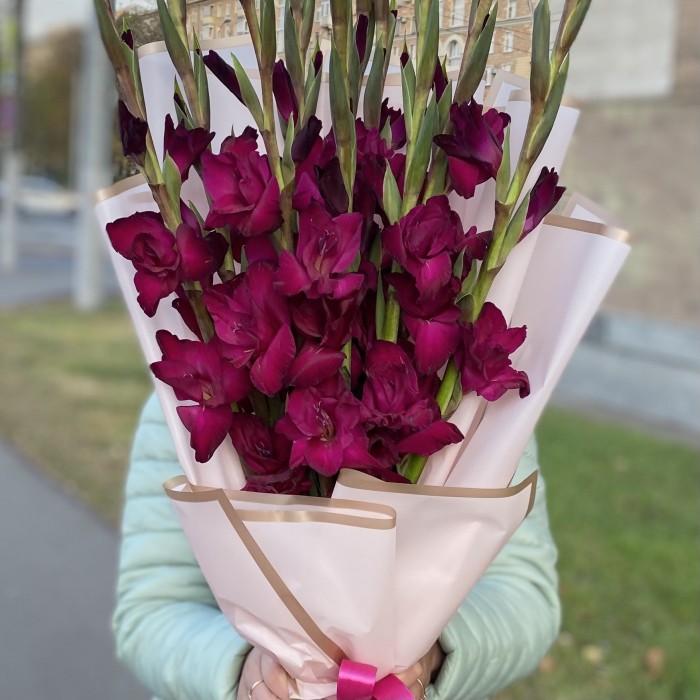 9 темно-малиновых гладиолусов