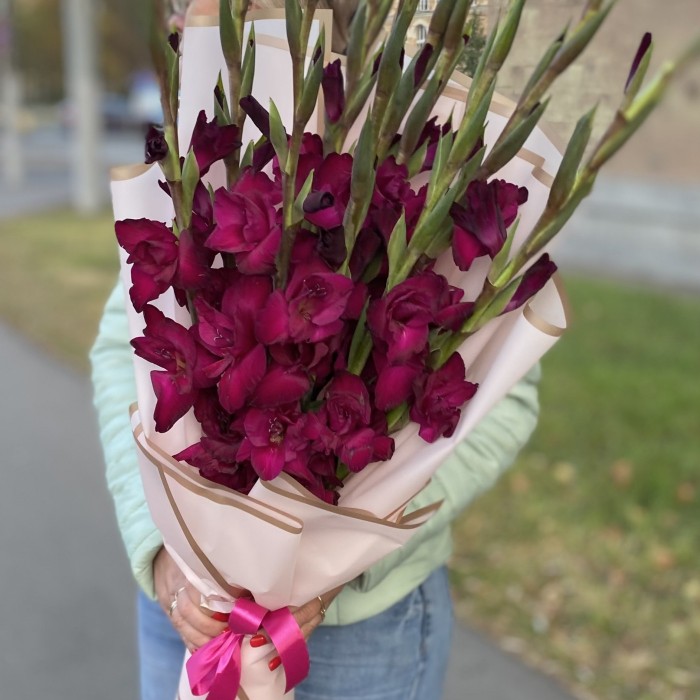 9 темно-малиновых гладиолусов