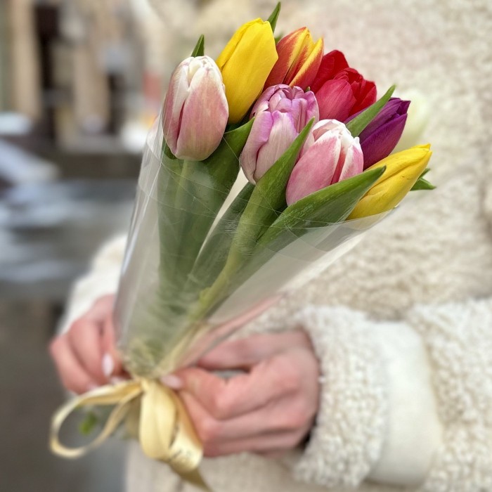 9 тюльпанов микс