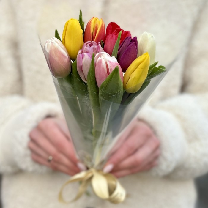 9 тюльпанов микс