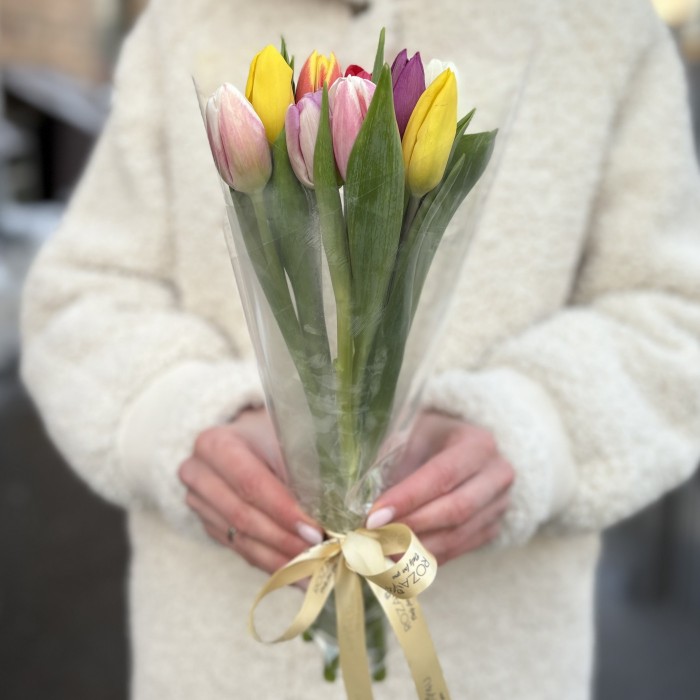 9 тюльпанов микс