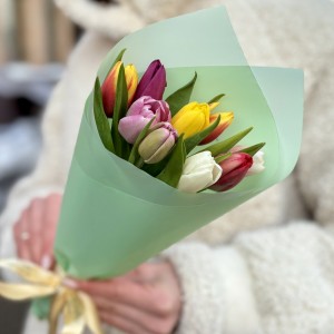 9 разноцветных тюльпанов в упаковке