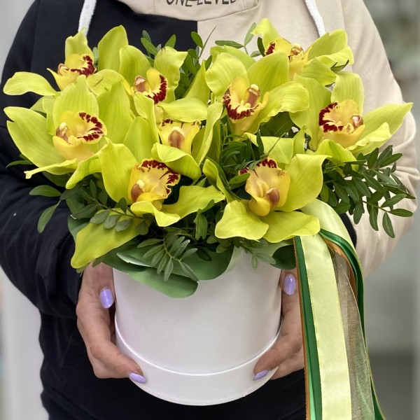 9 зеленых орхидей Цимбидиум в коробке