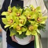 9 зеленых орхидей Цимбидиум в коробке