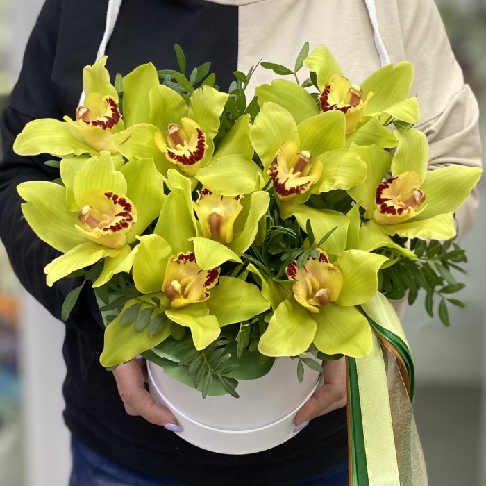 9 зеленых орхидей Цимбидиум в коробке