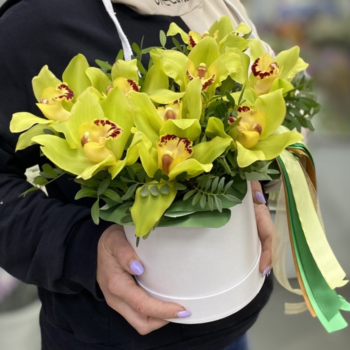 9 зеленых орхидей Цимбидиум в коробке