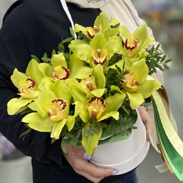 9 зеленых орхидей Цимбидиум в коробке