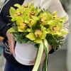 9 зеленых орхидей Цимбидиум в коробке