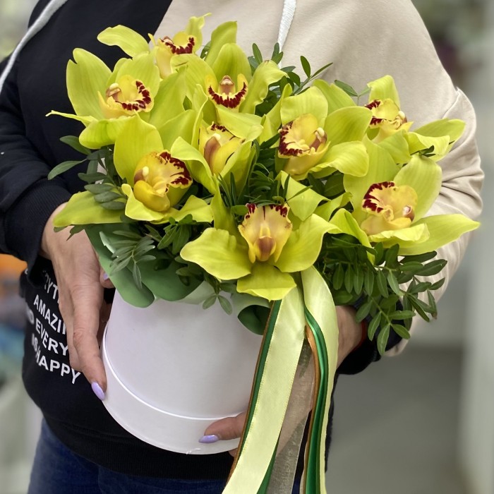 9 зеленых орхидей Цимбидиум в коробке