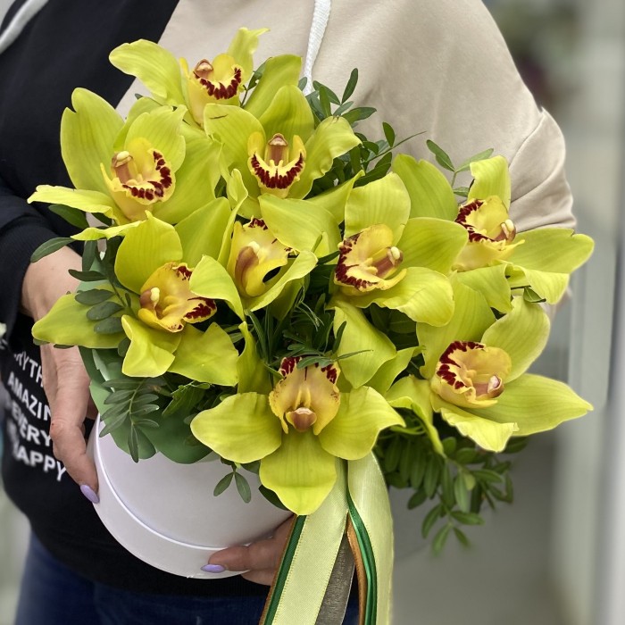 9 зеленых орхидей Цимбидиум в коробке