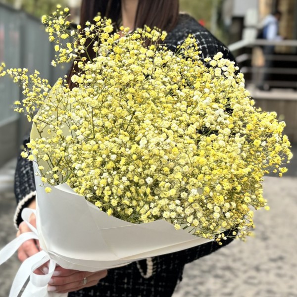 9 желтых гипсофил в упаковке