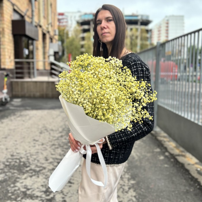 9 желтых гипсофил в упаковке