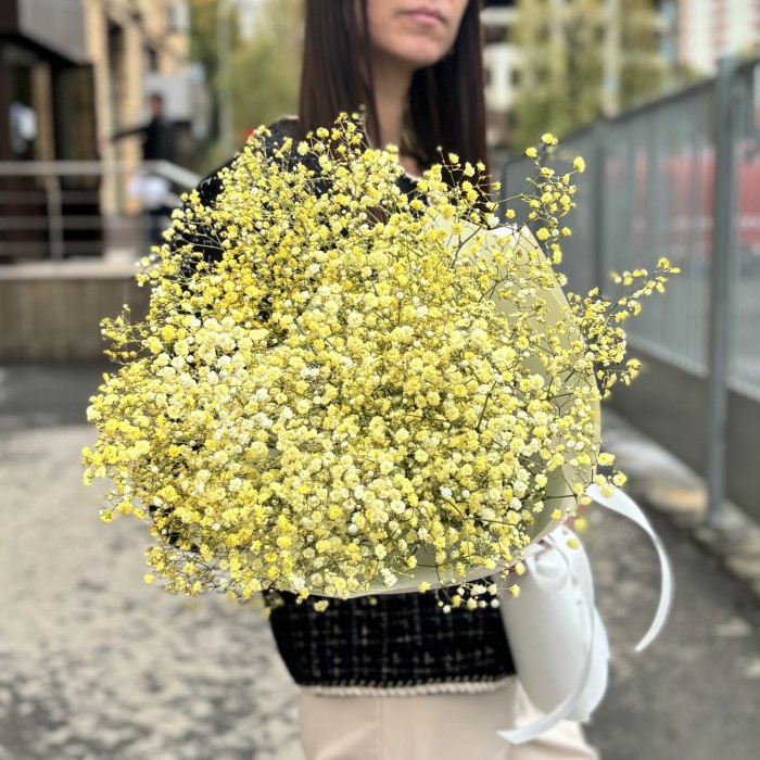 9 желтых гипсофил в упаковке