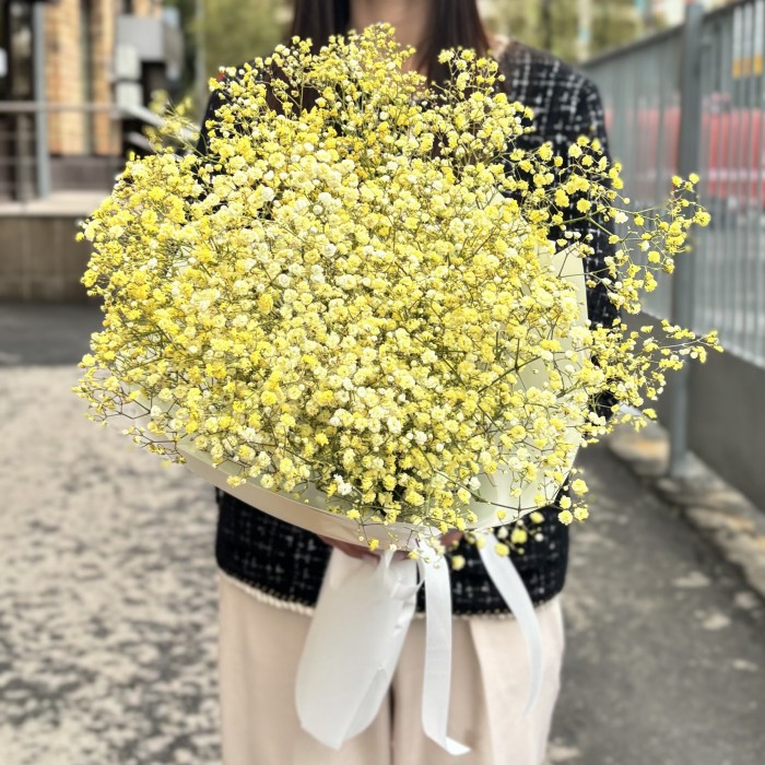 9 желтых гипсофил в упаковке