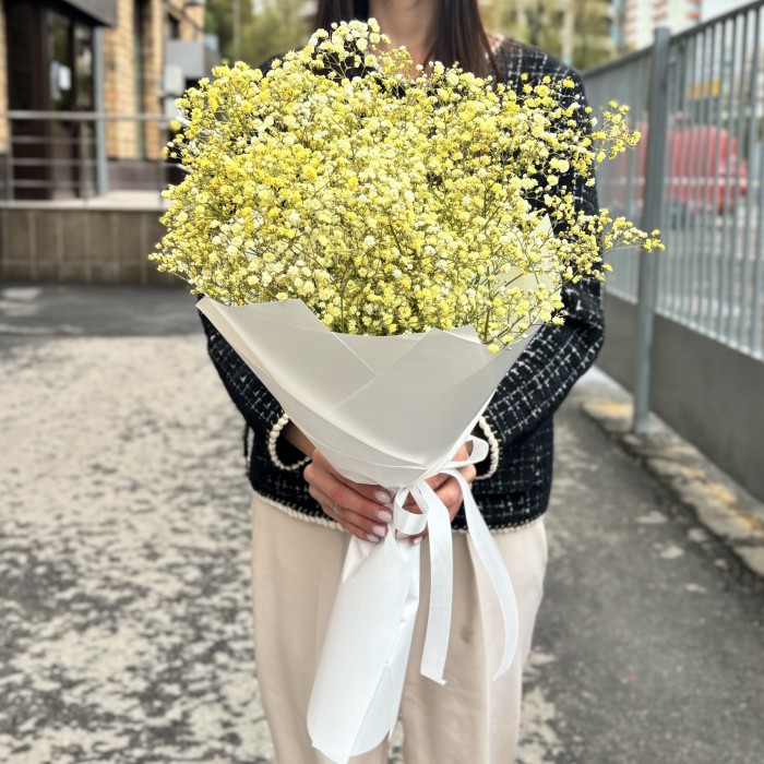 9 желтых гипсофил в упаковке