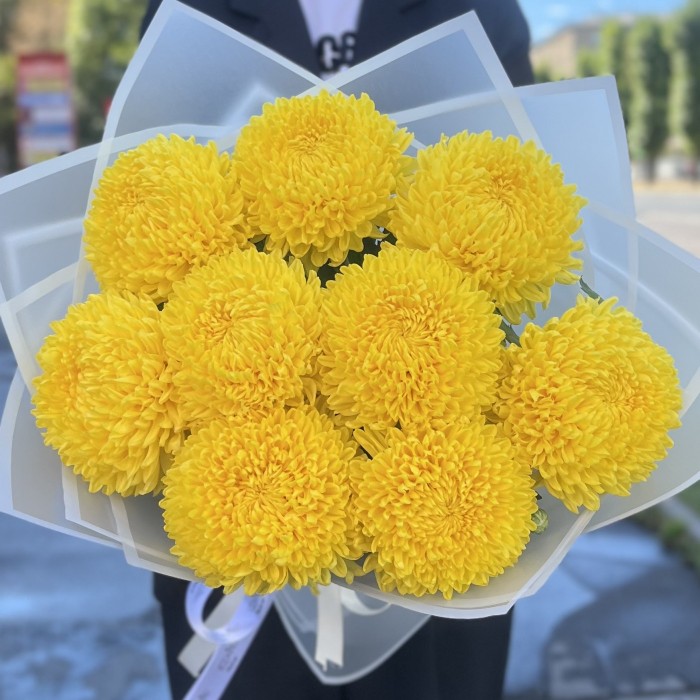 9 желтых хризантем