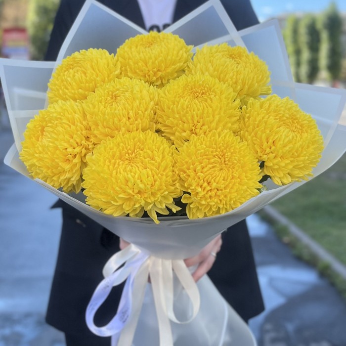9 желтых хризантем