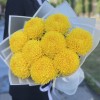 9 желтых хризантем