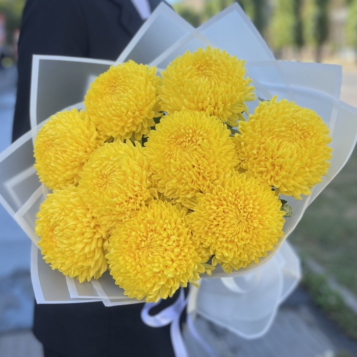 9 желтых хризантем