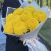 9 желтых хризантем
