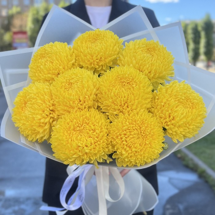 9 желтых хризантем