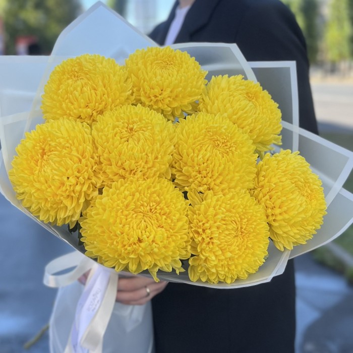 9 желтых хризантем