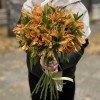 Альстромерия оранжевая