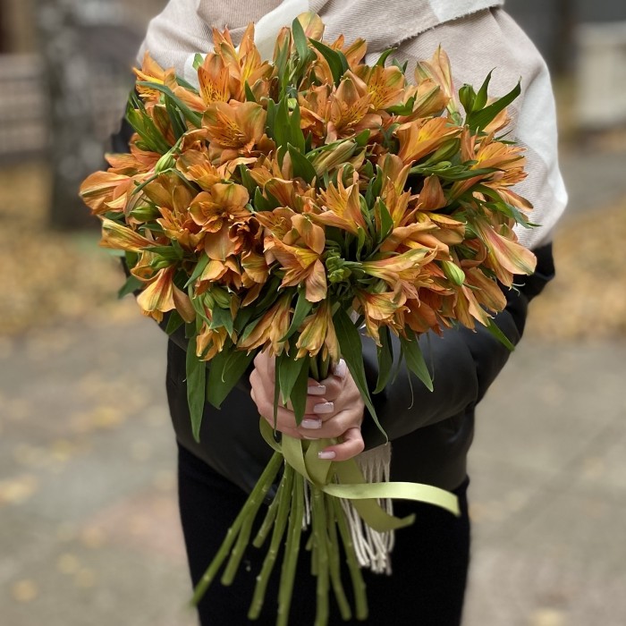 Альстромерия оранжевая