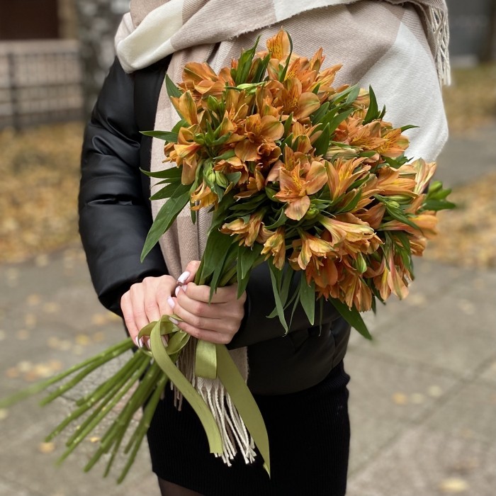 Альстромерия оранжевая