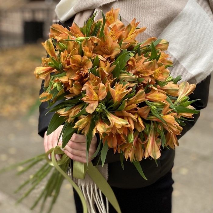 Альстромерия оранжевая