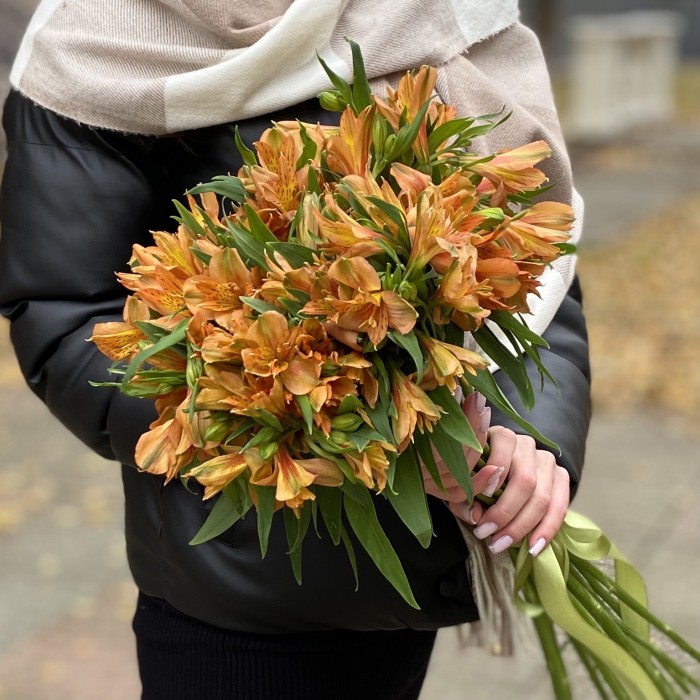 Альстромерия оранжевая