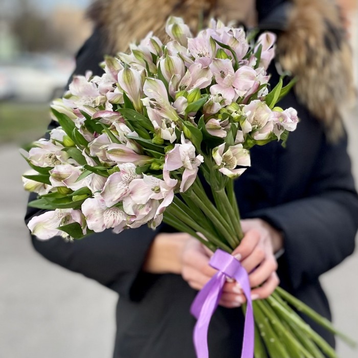 Альстромерия сиреневая