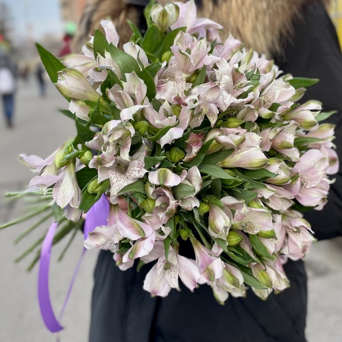 Альстромерия сиреневая